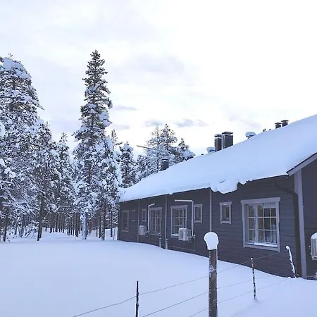 Gold Legend Paukkula #4 - * Saariselkä