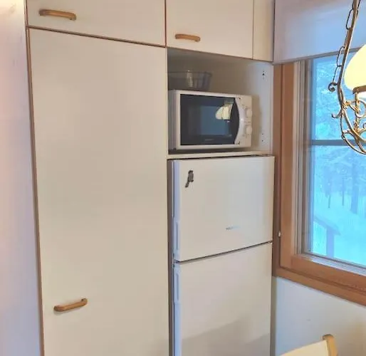 Gold Legend Paukkula #4 -