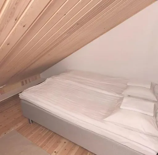 Gold Legend Paukkula #4 -